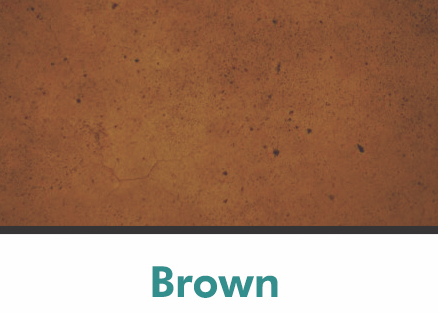 COLOR TONE CLASSIC STAIN (16 OZ)
