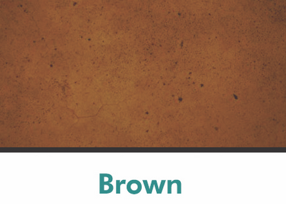 COLOR TONE CLASSIC STAIN (16 OZ)