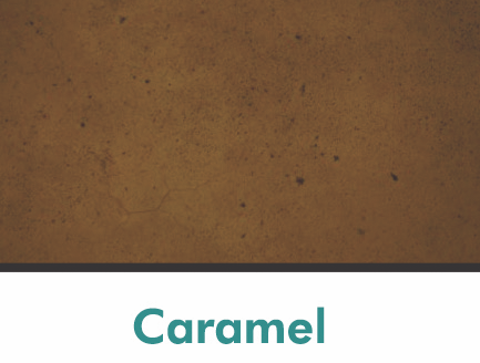 COLOR TONE CLASSIC STAIN (16 OZ)